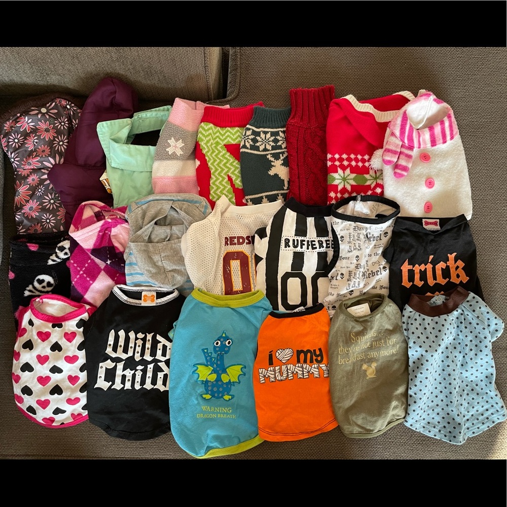 Small pet clothes